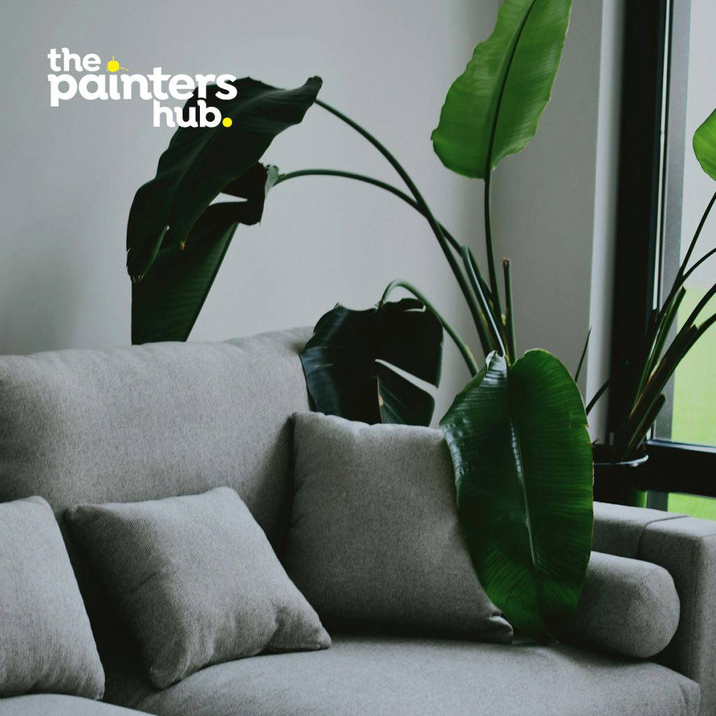 The Painters Hub - Expert Interior Painters in Wellington