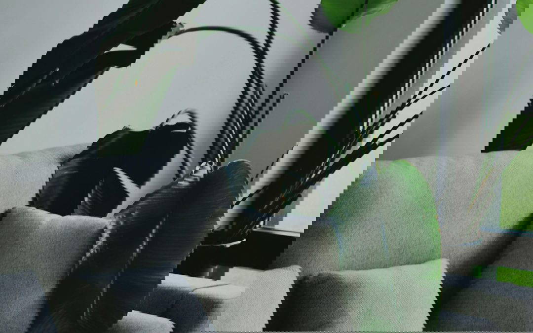 The Complete Interior Painting Process with The Painters Hub – Wellington Painting Experts